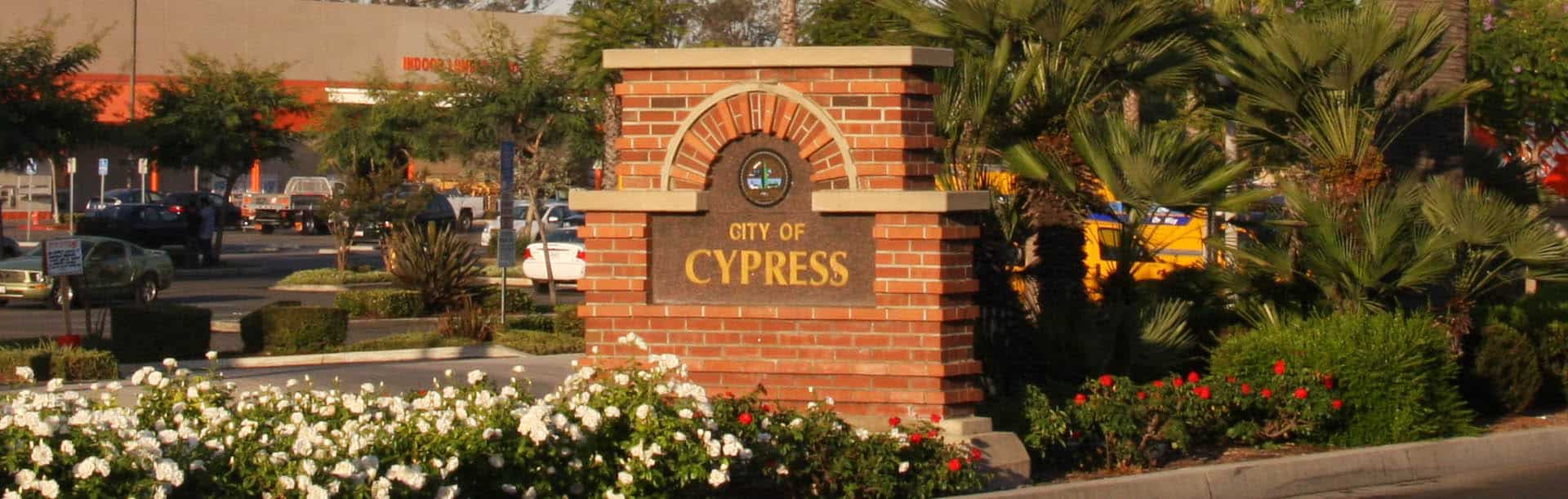 Cypress