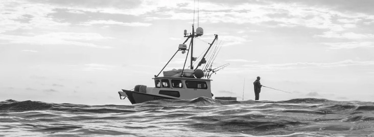 Seal Beach Fish Co.