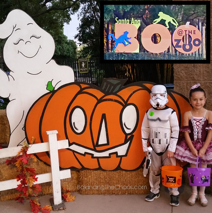 Boo at the Zoo