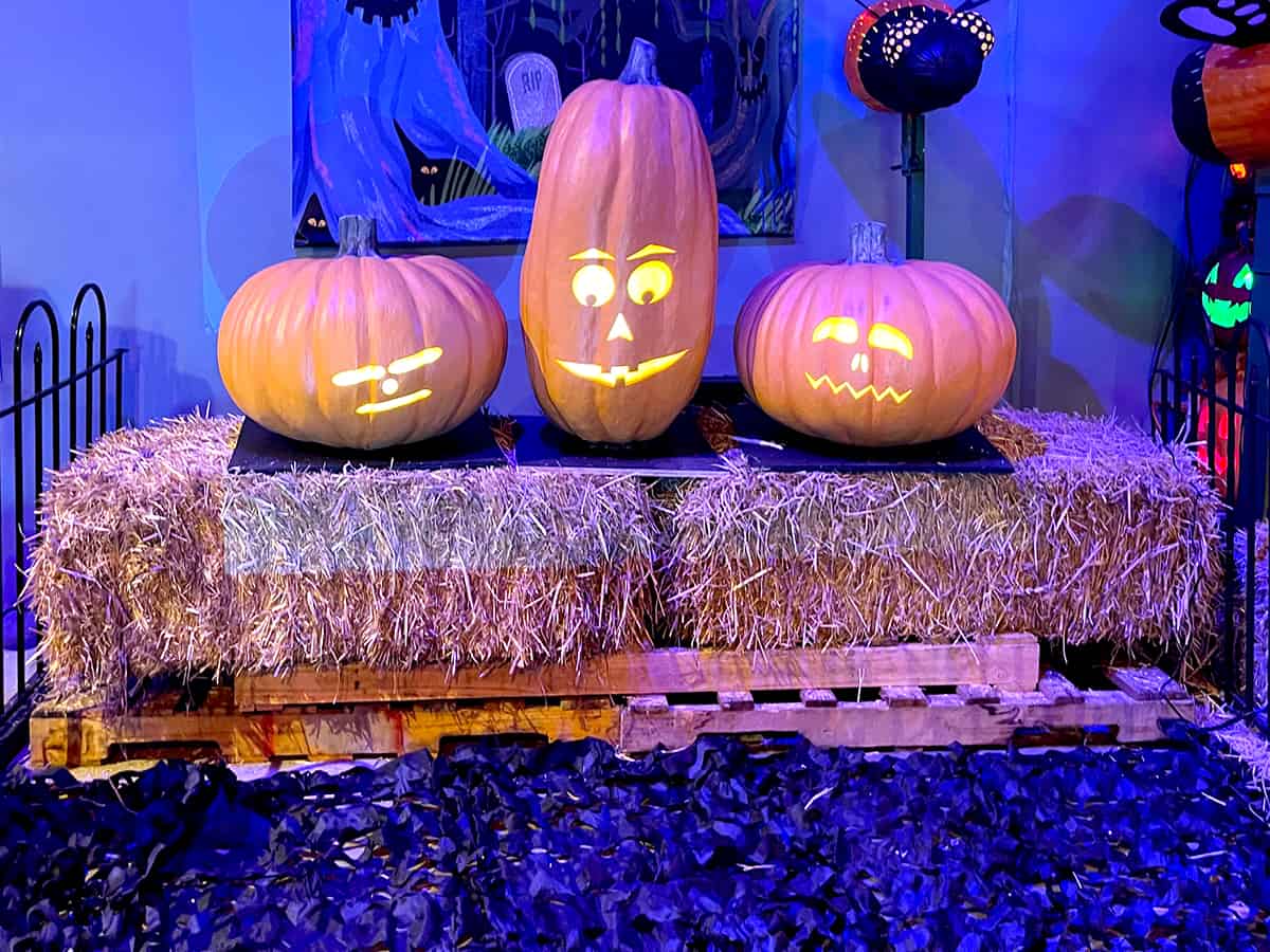 Discovery Cube OC Pumpkin Palooza